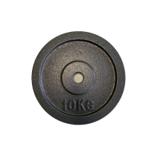 Диски металлические (окрашенная сталь) NEO-SPORT набор 2 шт. по 10 кг (ST10)